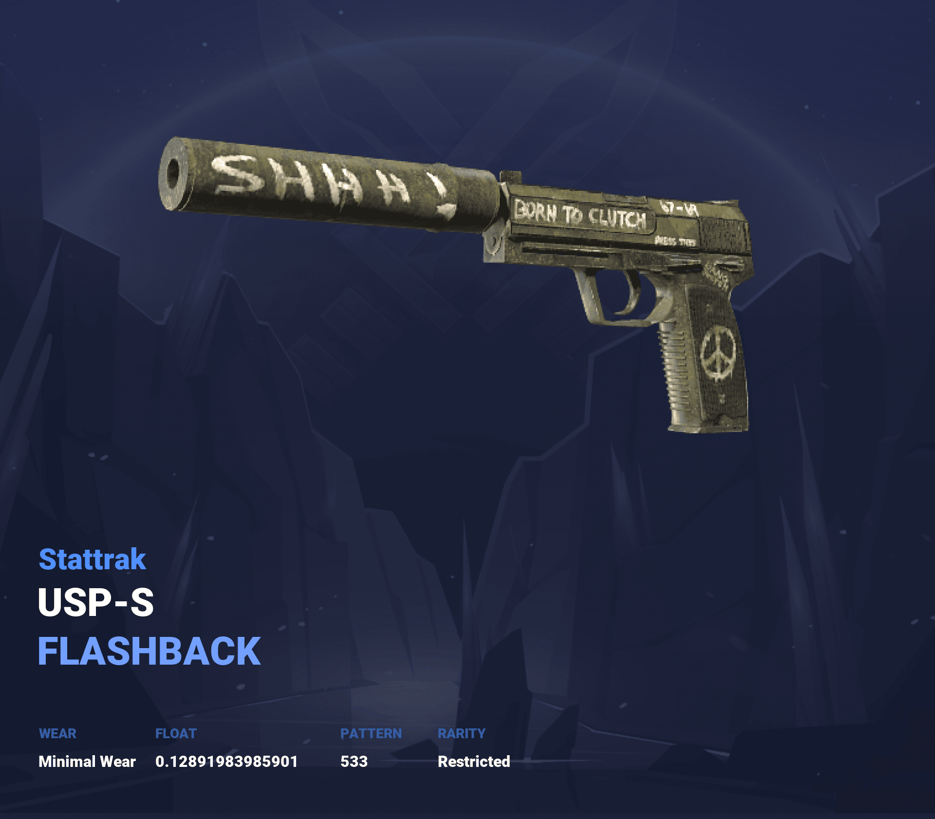 StatTrak™ USP-S | Flashback